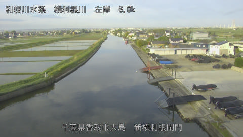 yoko2026050806_image