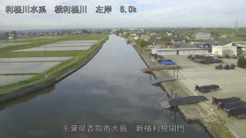 yoko2026050807_image