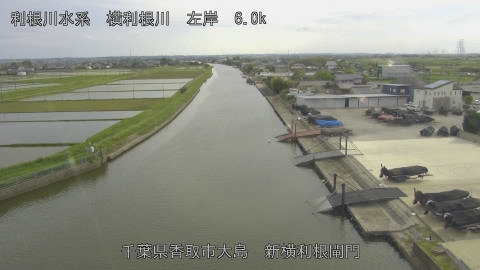 yoko2026050816_image