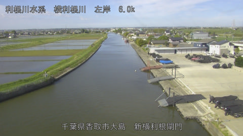 yoko2026050908_image