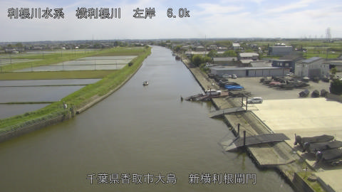 yoko2026050915_image