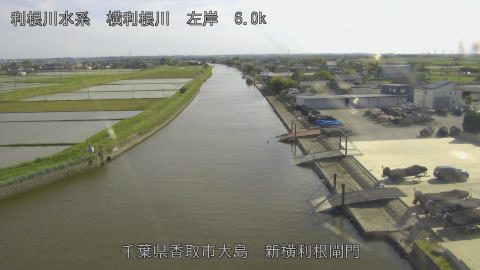 yoko2026050916_image