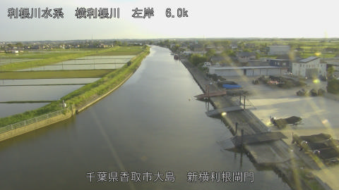 yoko2026050918_image