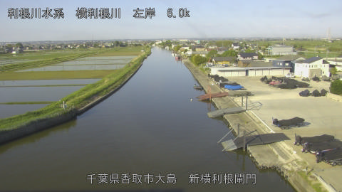 yoko2026051007_image