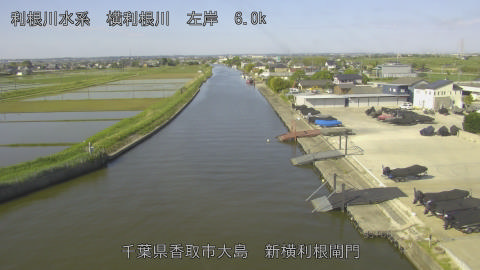 yoko2026051008_image