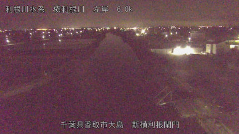 yoko2026051101_image
