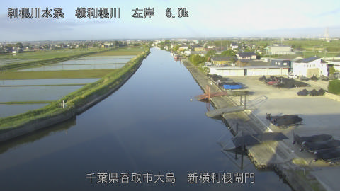 yoko2026051106_image