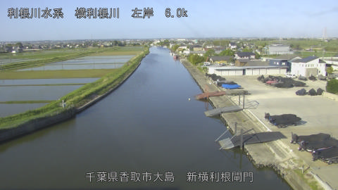 yoko2026051107_image