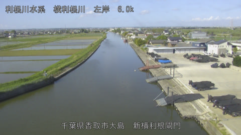 yoko2026051108_image