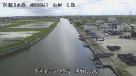 yoko2026051111_image