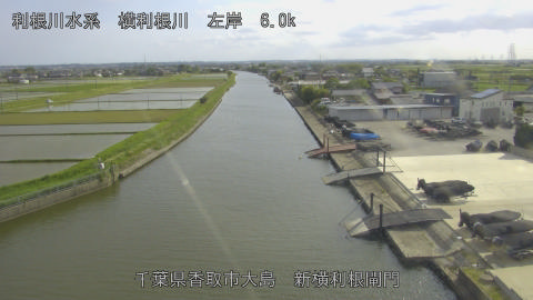 yoko2026051116_image