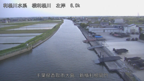 yoko2026051119_image