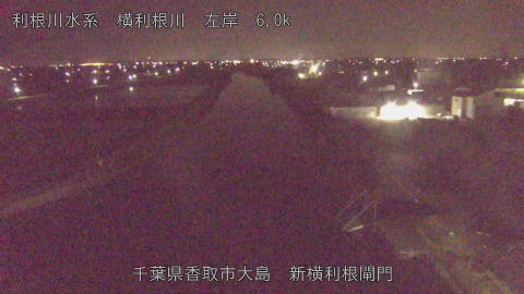 yoko2026051201_image