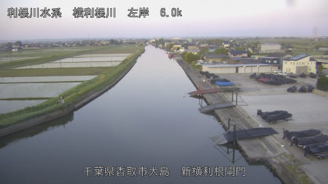 yoko2026051205_image