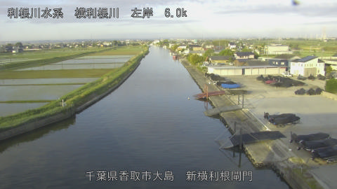 yoko2026051206_image