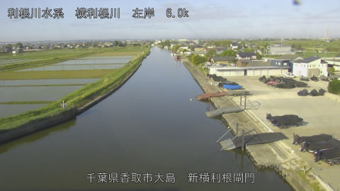 yoko2026051207_image