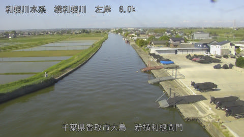 yoko2026051208_image