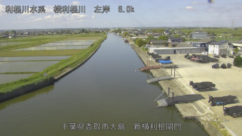 yoko2026051209_image
