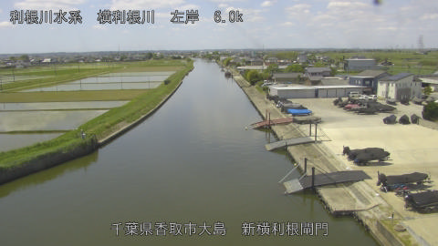 yoko2026051211_image