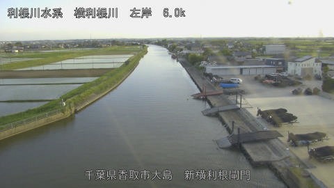 yoko2026051218_image