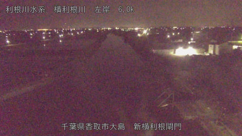 yoko2026051301_image