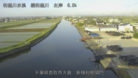 yoko2026051306_image