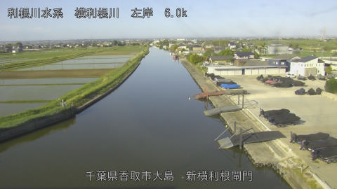 yoko2026051307_image
