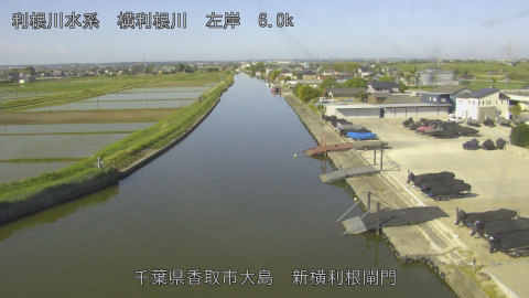 yoko2026051308_image