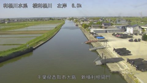 yoko2026051309_image