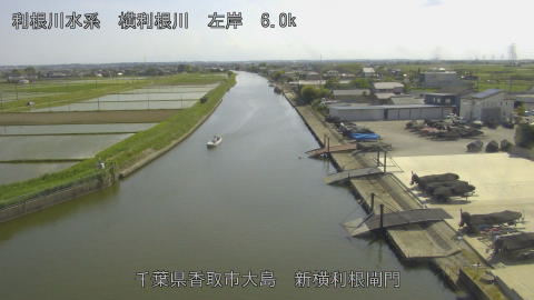 yoko2026051315_image
