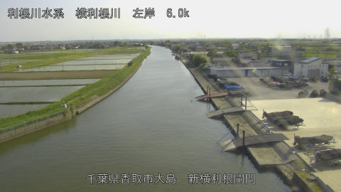 yoko2026051316_image