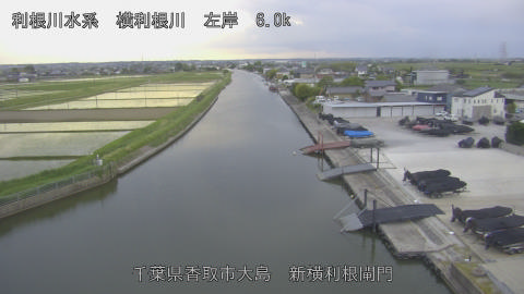 yoko2026051318_image