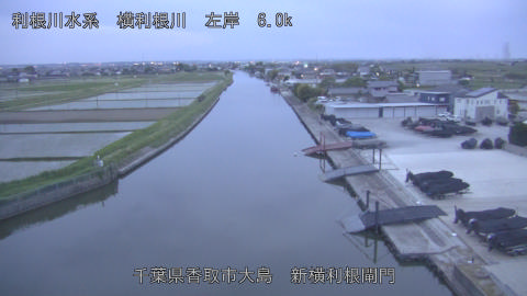 yoko2026051319_image