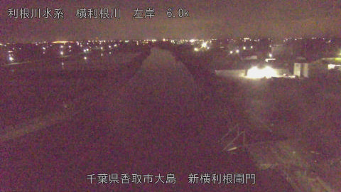 yoko2026051401_image