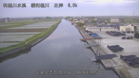 yoko2026051405_image