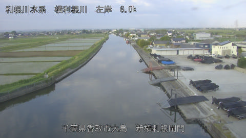 yoko2026051406_image