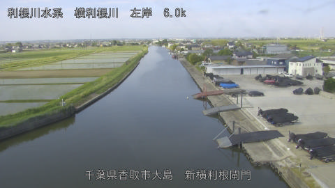 yoko2026051408_image
