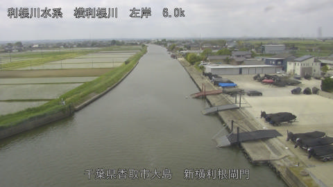 yoko2026051411_image
