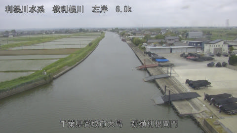 yoko2026051416_image