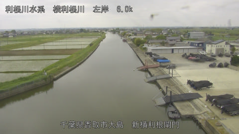 yoko2026051511_image