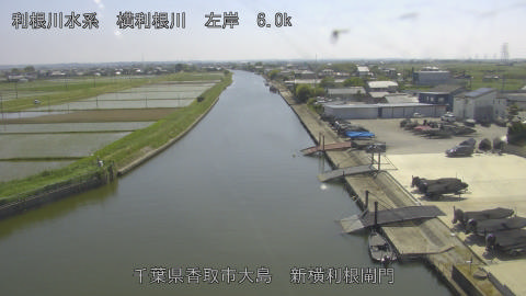 yoko2026051514_image
