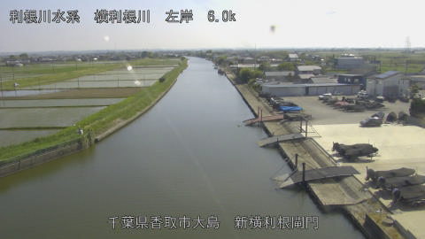 yoko2026051515_image