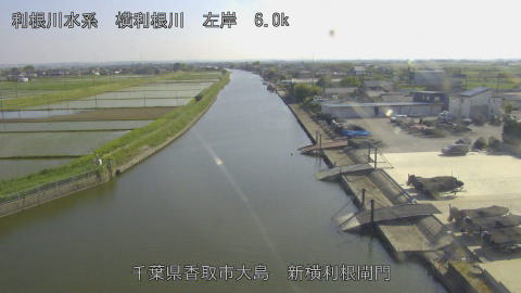 yoko2026051516_image