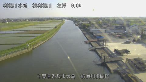 yoko2026051517_image