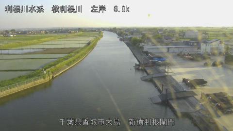 yoko2026051518_image