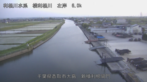 yoko2026051519_image