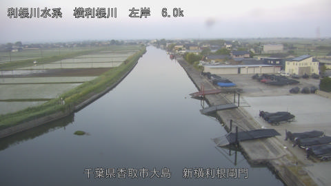 yoko2026051605_image