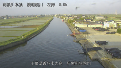 yoko2026051606_image