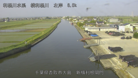 yoko2026051607_image