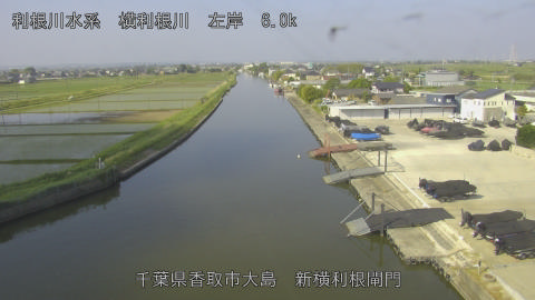 yoko2026051608_image